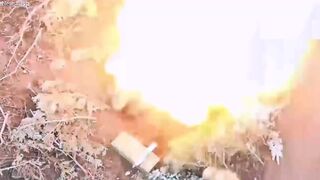 Pro-Russian forces shell Ukrainian troops near Marinka