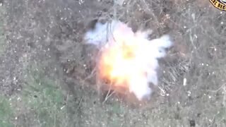 Ukrainian drone drops bombs on Russian trenches sending troops running