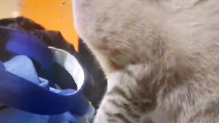 ????????????????????