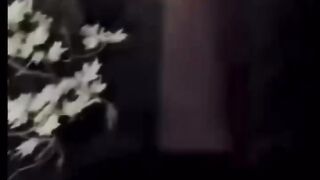 Alien video