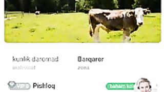 Internetdan pul ishlash