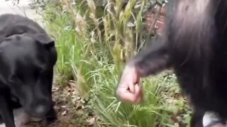 Friends come in all shapes and sizes