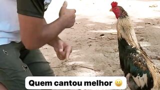Ayam Keren