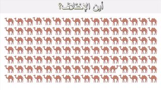 ألغاز _ ما هو الإختلاف بين هذه الصور؟