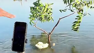 amazi video