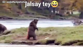 New funny video upload 2025