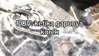 pov ngk ada korek