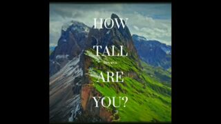 How tall are you?