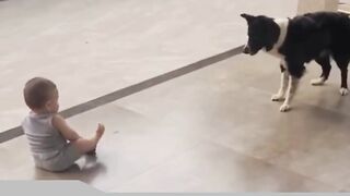 baby laughter with dog
