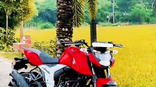 motor vlog