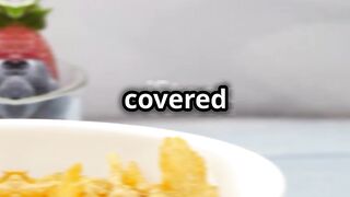 Nutritious Breakfast Ideas You’ll Love