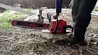 Pohon ga bisa di potong