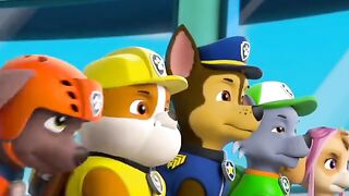 pawpatrol