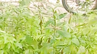 Binatang yang setia dengan tuan nya