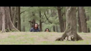 lshwar video