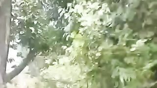 Green gradan