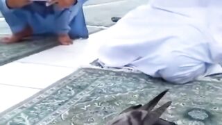 سبحان الله