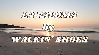 LA PALOMA de WALKIN' SHOES - Instrumental