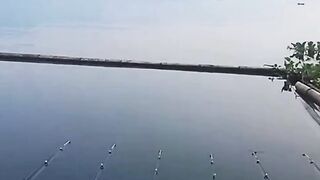 Mancing jatilubur