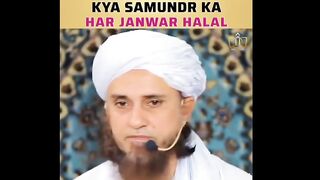 Kya samandar ka har janwar halal hai ????