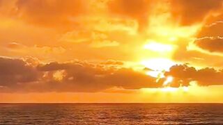 Beautiful nature