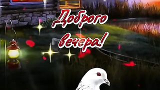 Добрый вечер