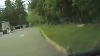very nice scene