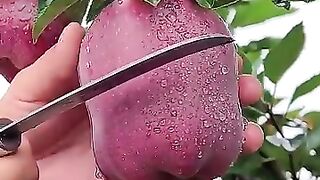Red Apple cutting