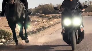 Motore
