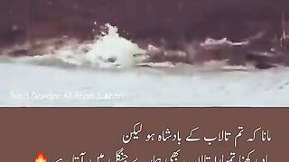 Best attitude  by animals