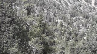 Ziarat tour