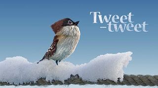 (Tweet-tweet) _ CGF Animation _ Bazelevs(1080P_HD).
