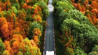 Very Beautiful Nature Videos | Peace