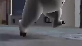 Bunty new punjabi  full funy