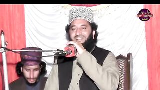 پیر سید فیض الحسن شاہ صاحب