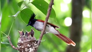 Beauty in nature