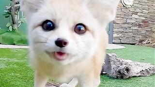 Me at the zoo