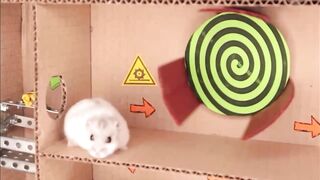 Hamster pets but with Traps in maze. Part 1