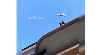 ????????????????????????????.........