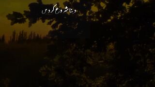 Aqal e zareen