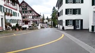 buurehofhess_Original_Braunvieh,_Einzug_im_Stedtli,_Viehschau_Grüningen_2022(360p).
