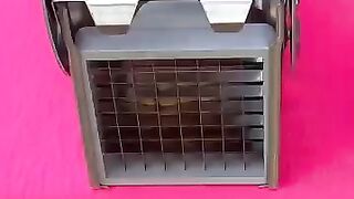 is that french fries?