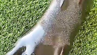 effortless paint peel