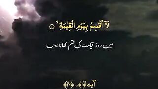 Ohhh no beautiful voice