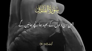 SURAH AL-TAARIQ VERSES 9-14 #duniyaaefaanii #urdutarjuma #quranvideo #tarjuma #quran_alkarim