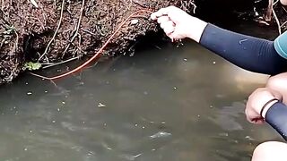 Ikan sidat