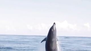 La mer