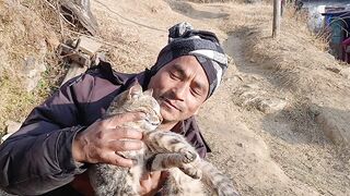 My lovely cat