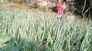 Garlic farming in Nepal