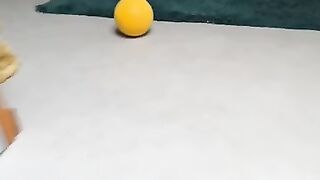 Baal bouncing again